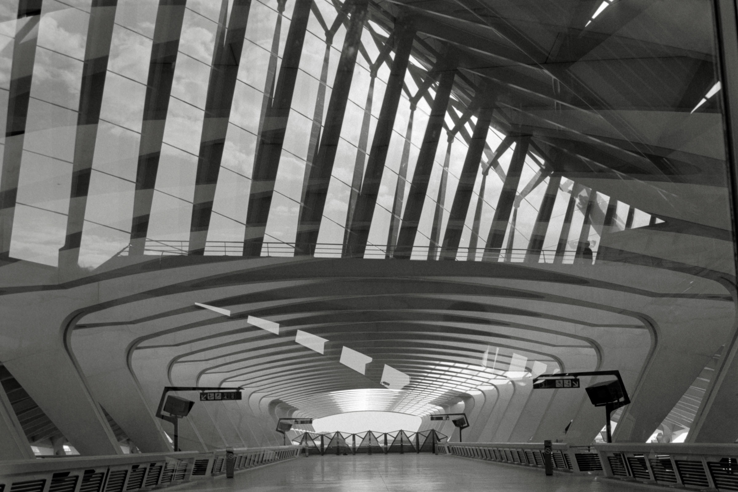 AHP F1995 10 004 sc240816 img23 NLP